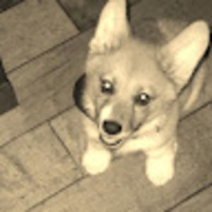 Meet your Posher, Jillian